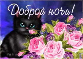 Открытка открытка добрых снов