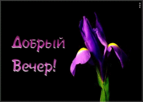 Открытка открытка добрый вечер с анимацией