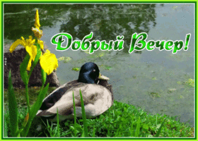 Открытка открытка добрый вечер с природой