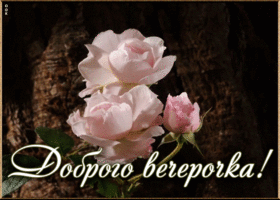 Открытка открытка добрый вечер с цветами
