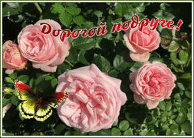 Картинка открытка дорогой подруге