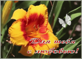 Picture открытка этот прекрасный цветок для тебя с любовью