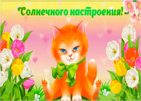 Картинка открытка гиф для друзей