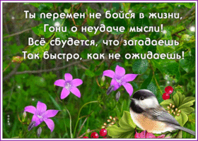 Открытка открытка и пусть всё будет хорошо