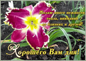 Открытка открытка хорошего дня с пожеланием