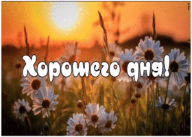 Картинка открытка хорошего дня с ромашками