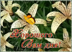 Открытка открытка хорошего дня с цветами
