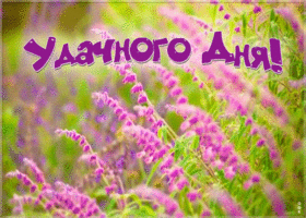 Картинка открытка хорошего и удачного дня