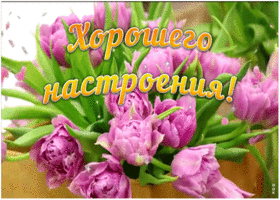 Картинка открытка хорошего настроения с пионами