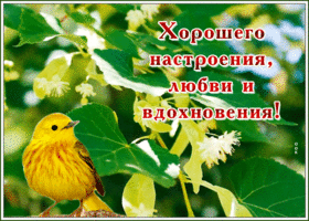 Картинка открытка хорошего настроения в любую погоду