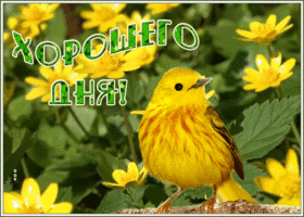 Открытка открытка хорошего нового дня