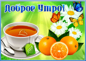 Открытка открытка хорошего утра