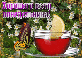 Картинка открытка хорошего всем понедельника