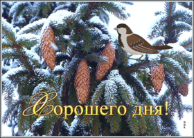 Открытка открытка хорошего зимнего дня