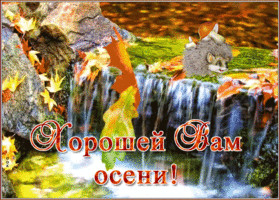Картинка открытка хорошей осени