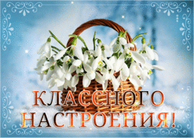 Picture открытка классного настроения с подснежниками