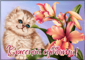 Открытка открытка классной субботы