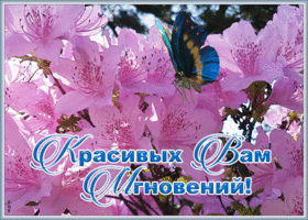 Картинка открытка красивых мгновений