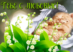 Картинка открытка ландыши с любовью