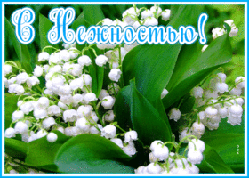 Открытка открытка ландыши с нежностью