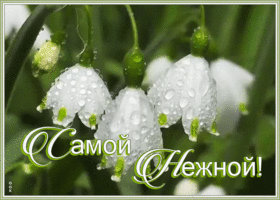 Картинка открытка ландыши самой нежной