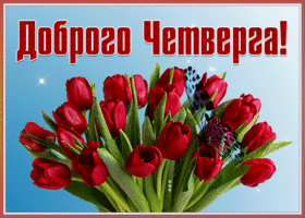 Картинка открытка легкого четверга