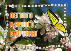 Открытка открытка легкого вторника