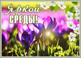 Картинка открытка легкой среды