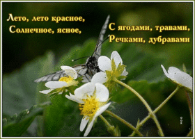 Картинка открытка лето с надписью