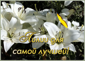 Открытка открытка лилии для самой лучшей