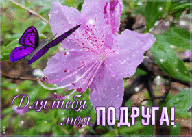 Картинка открытка любимой подружке