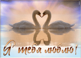 Открытка открытка любимой жене