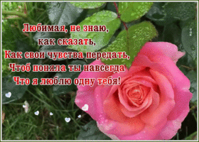 Картинка открытка любимой женщине