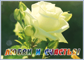 Картинка открытка любви и счастья