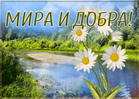 Picture открытка мира и добра