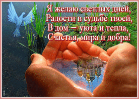 Картинка открытка мира и добра