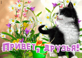 Открытка открытка моему другу