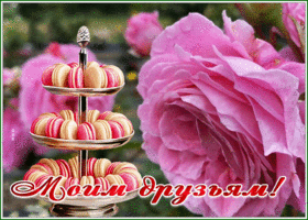 Postcard открытка моим друзьям с великолепным десертом