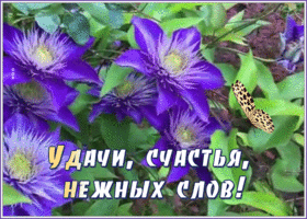 Открытка открытка на удачу