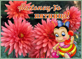 Postcard открытка наконец-то пятница с милой пчелкой