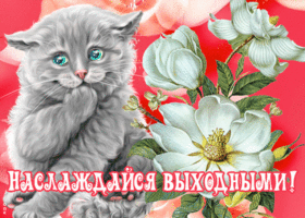 Открытка открытка наслаждайся выходными