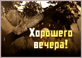 Картинка открытка нескучного вечера