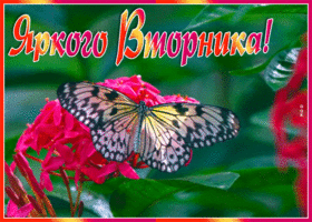 Открытка открытка нескучного вторника