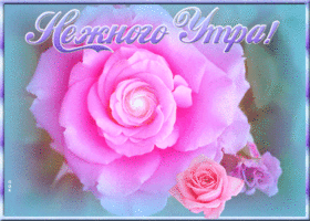 Открытка открытка нежного утра