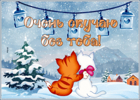 Picture открытка очень скучаю без тебя с парой котиков