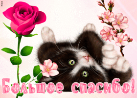 Картинка открытка огромнейшее спасибо