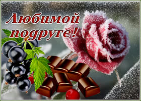 Открытка открытка подруге с розой в снегу