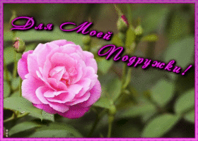 Открытка открытка подруге с цветами