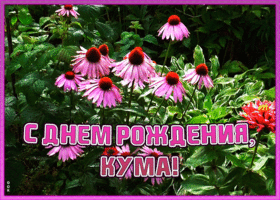 Картинка открытка поздравление с днем рождения куме