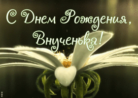 Открытка открытка поздравление с днем рождения внучке